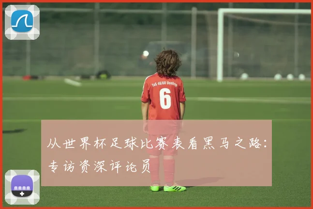 从世界杯足球比赛表看黑马之路:专访资深评论员