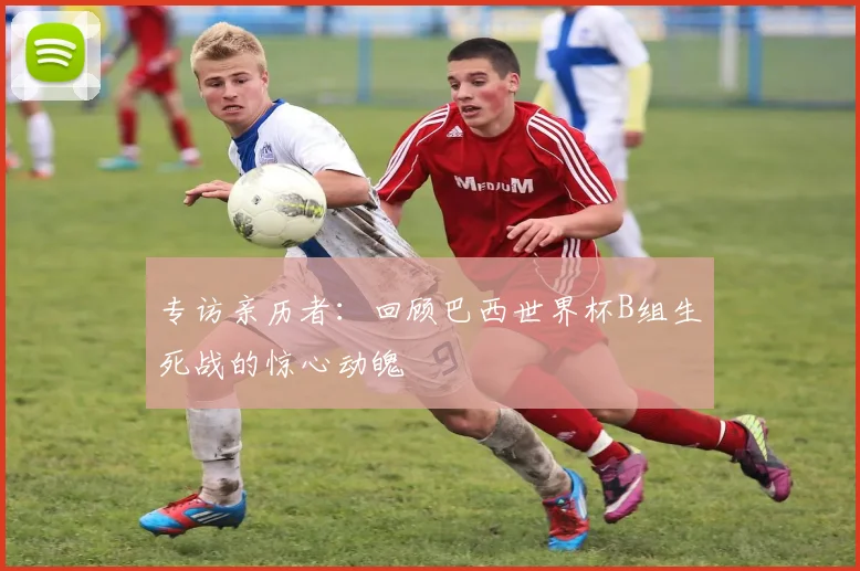 专访亲历者:回顾巴西世界杯B组生死战的惊心动魄
