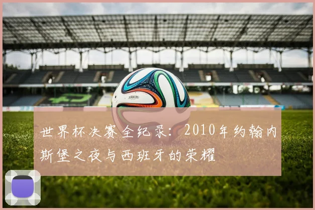 世界杯决赛全纪录:2010年约翰内斯堡之夜与西班牙的荣耀